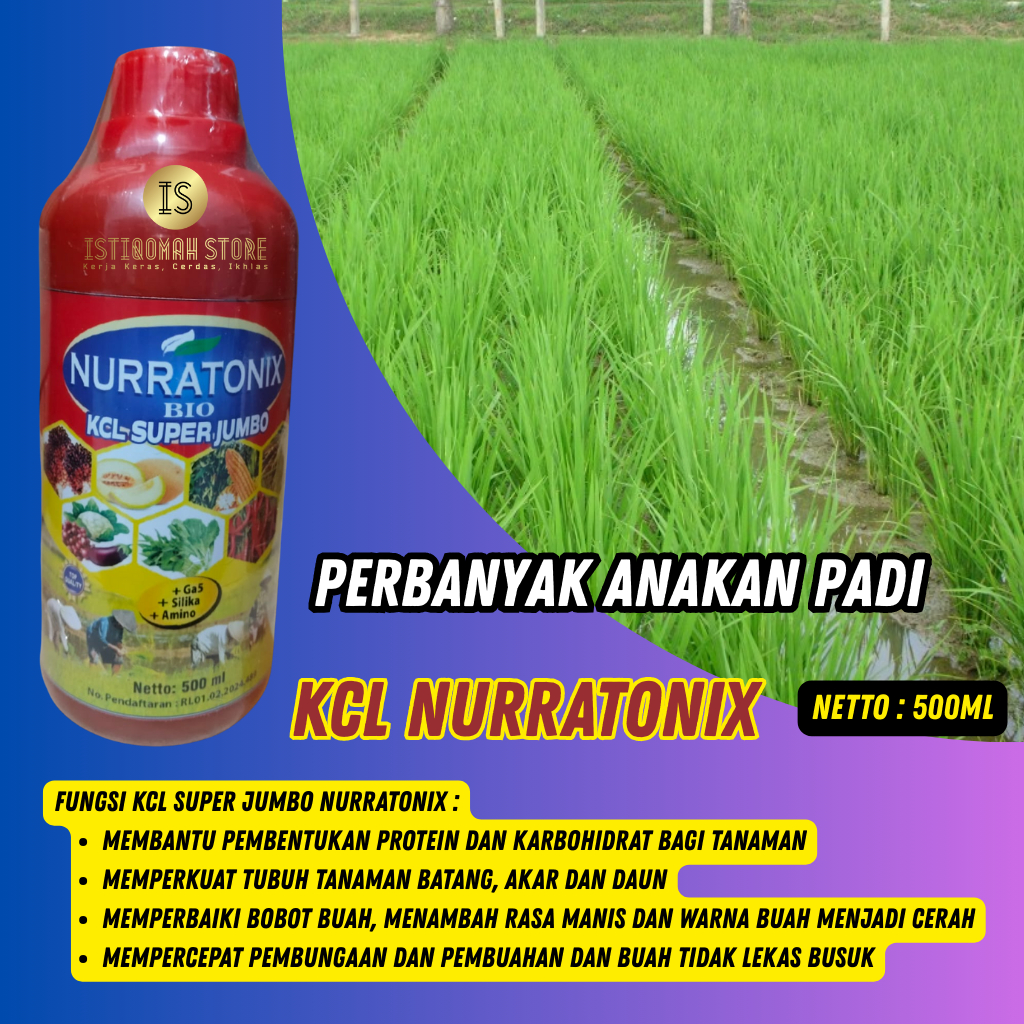 Pupuk Perbanyak Anakan Padi Paling Ampuh KCL NURRATONIX 500ML, Pupuk Cair Khusus Padi Agar Banyak An