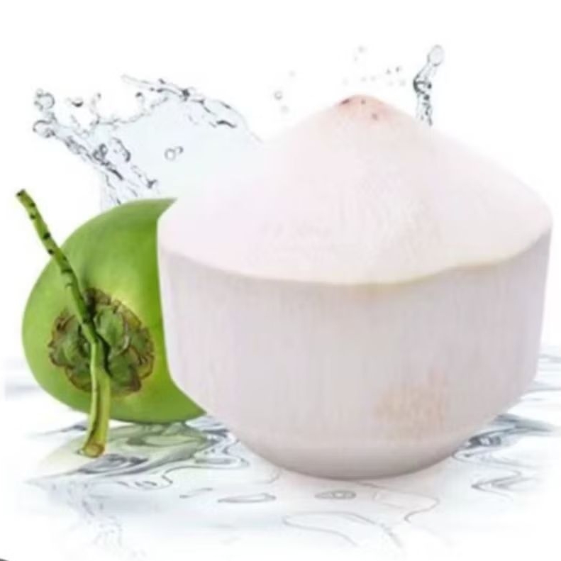 Kelapa Muda Diamond/Kupas Segar dan Lembut/packing wrap