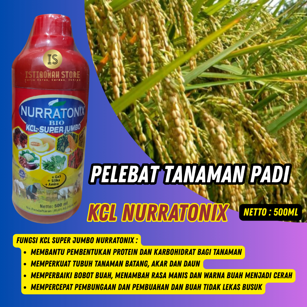 PUPUK PADI SAWAH TERBAIK KCL NURRATONIX 500ML Pupuk Padi Pelebat Buah - Pupuk Padi Cair Pengganti Ur