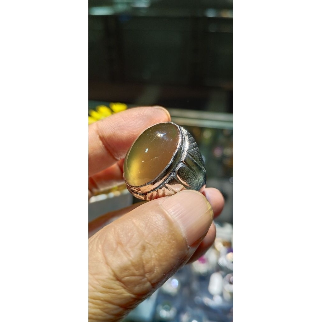 cincin batu solar kecoa