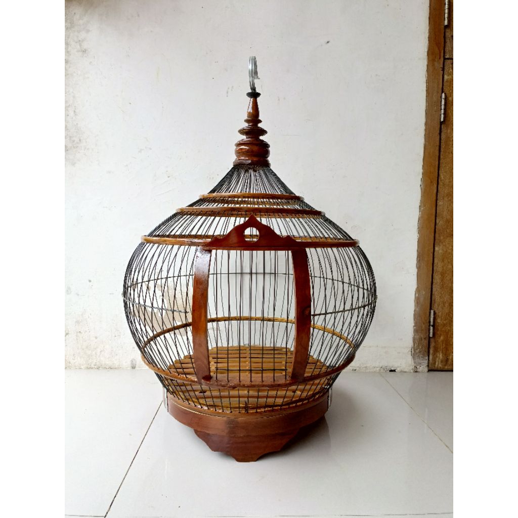 sangkar ayam hutan wifi buat betina