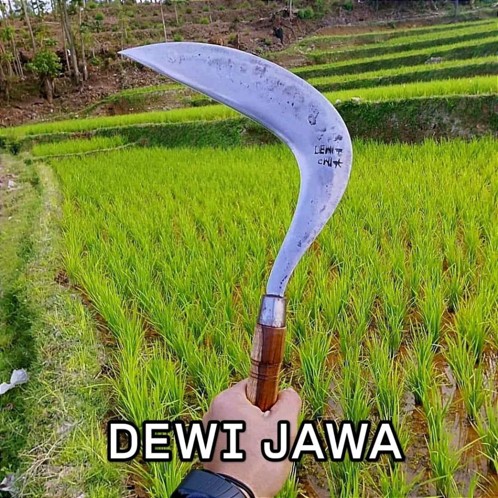 Arit Sabit Rumput Jawa Cap Dewi Bintang Original | Baja Per Full | Gagang Kayu Sonokeling + Ring Pen