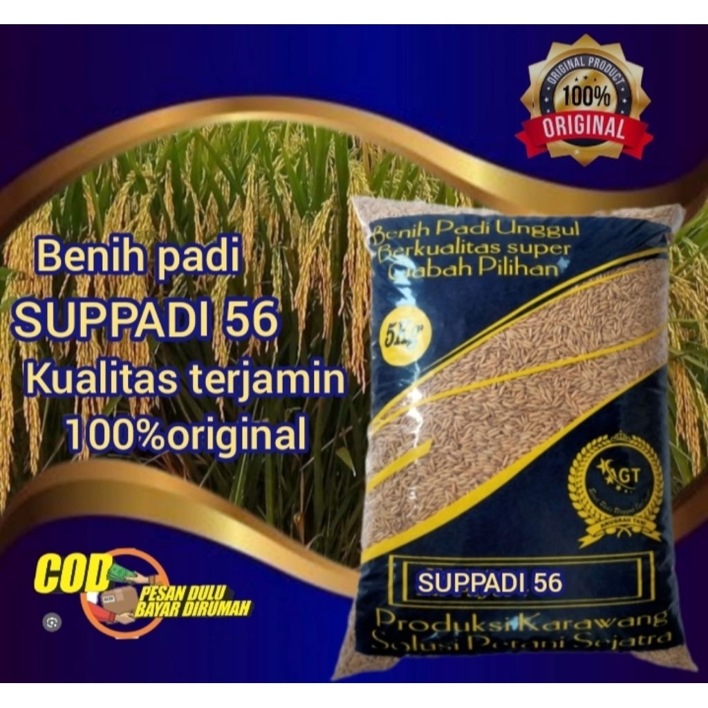 Benih padi berkualitas SUPPADI 56 kemasan 5kg