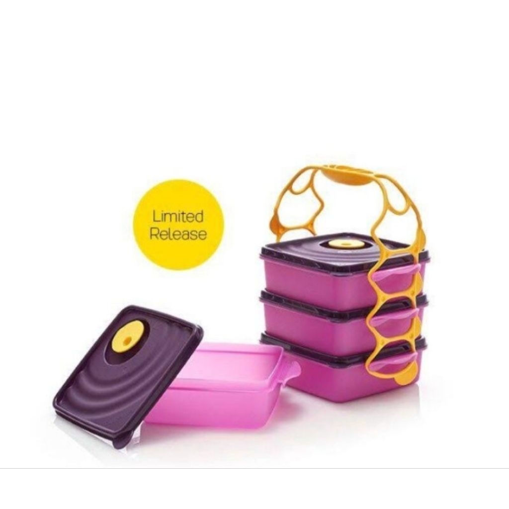 Tupperware goodie box 850ml 4 susun