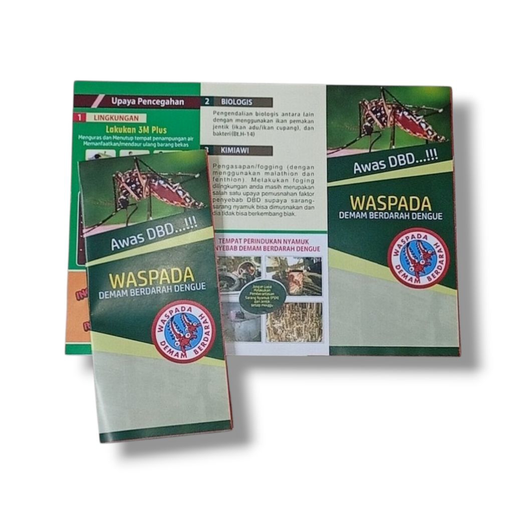 Leaflet Waspada DBD | Kenali & Berantas DBD | Brosur Edukasi Kesehatan Lingkungan