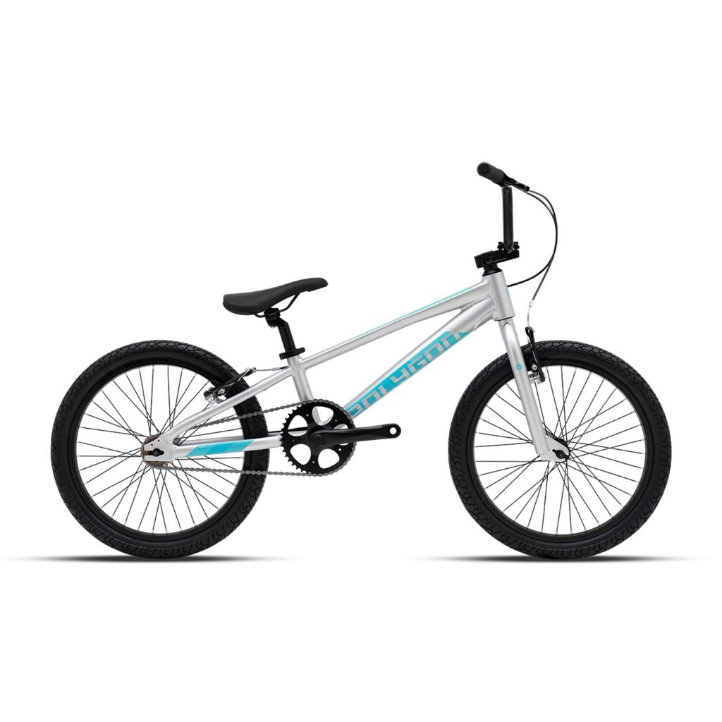 Sepeda Anak Polygon BMX 20 Rogue