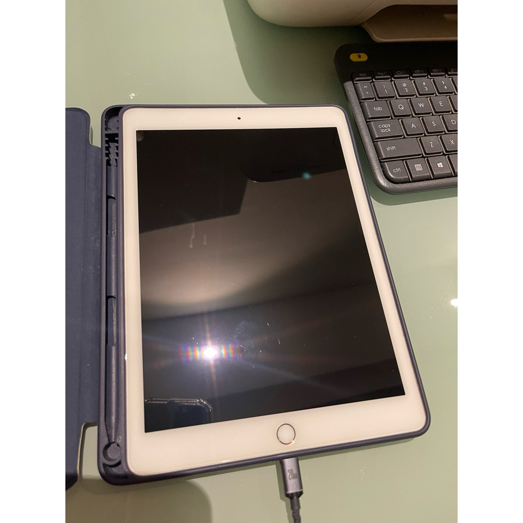 ipad Pro 9,7 inc 128gb pemakaian pribadi second