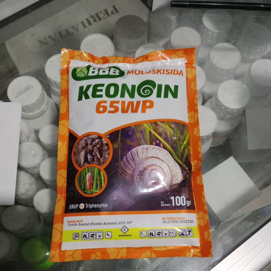 racun keong keongin 65wp 100gr