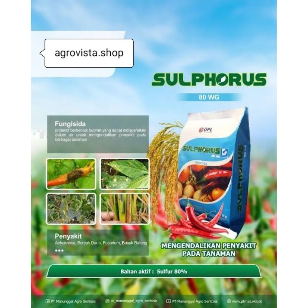 SULPHORUS 80 WG FUNGISIDA (1 KG)