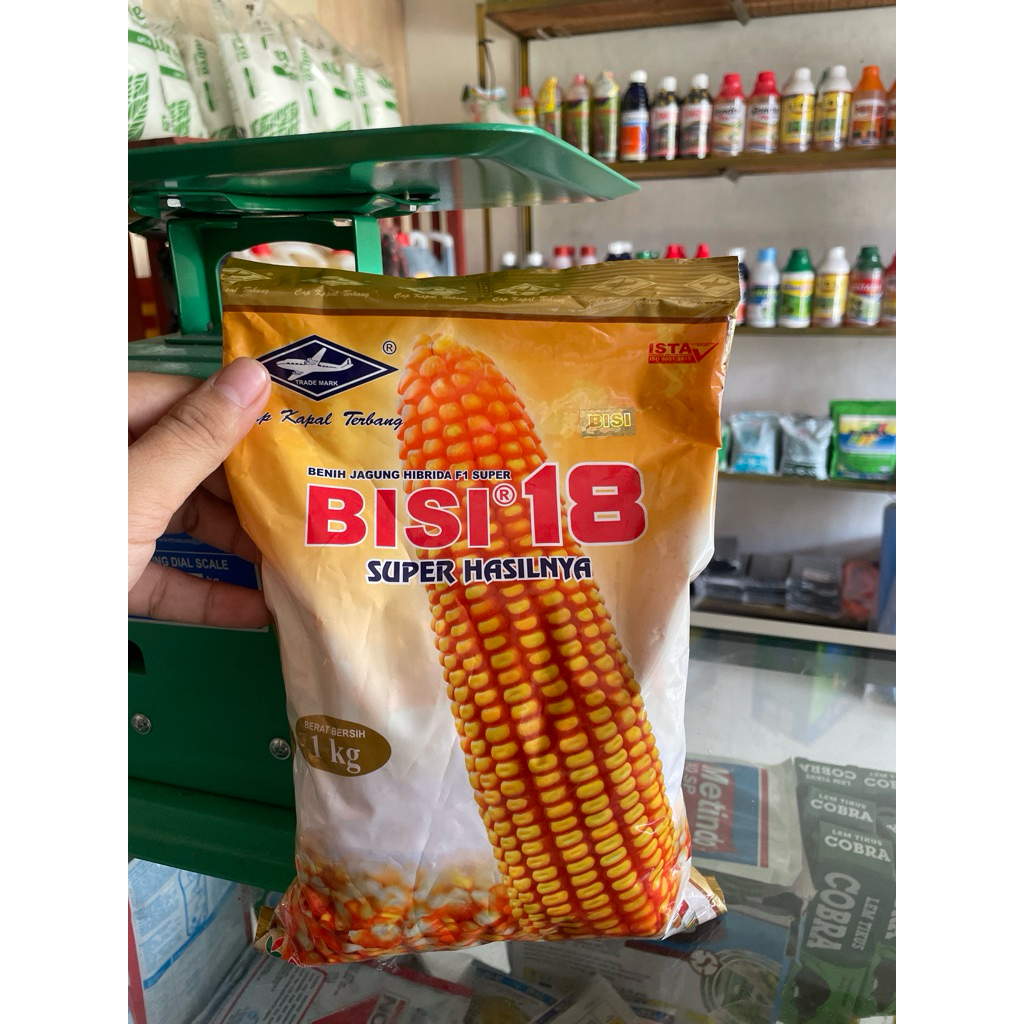 Bisi 18 Bibit jagung pilihan