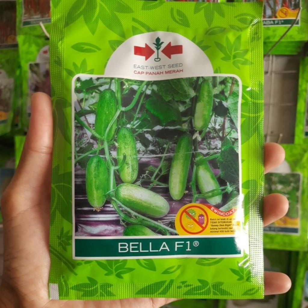 Benih Timun Baby BELLA F1 Isi 800biji Original Exp 29 - 04 - 2027