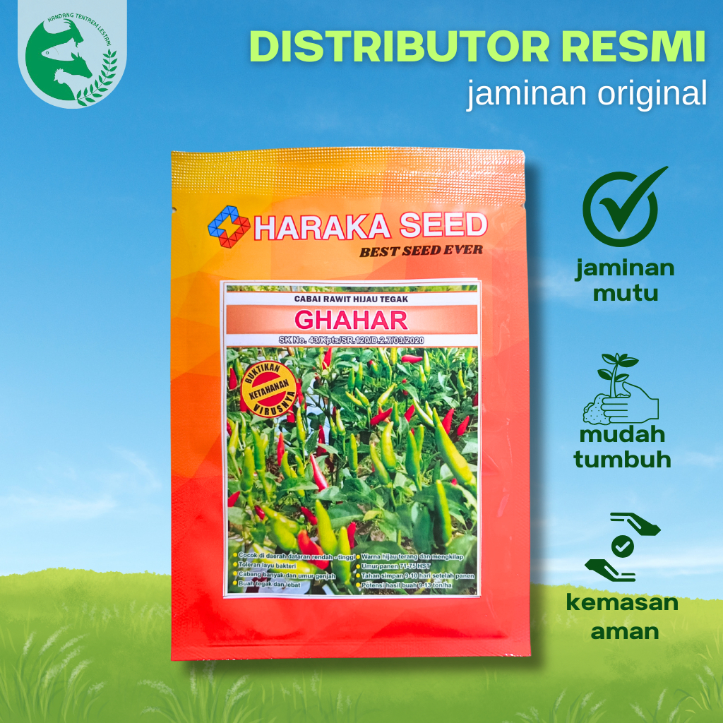Benih Cabe Rawit Hijau Tegak GHAHAR 10 gram Cap Haraka Cabai Lokal Umur Genjah Produksi Tinggi