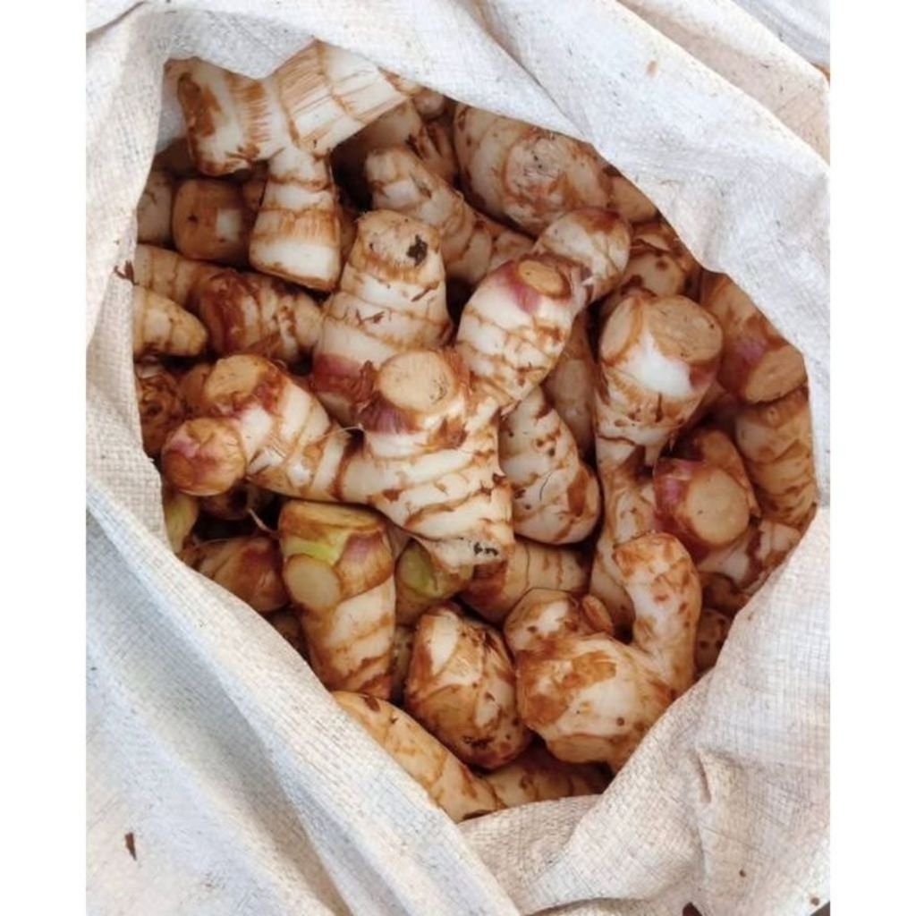 ubi ganyong/jangklong segar fresh asli muria 1kg