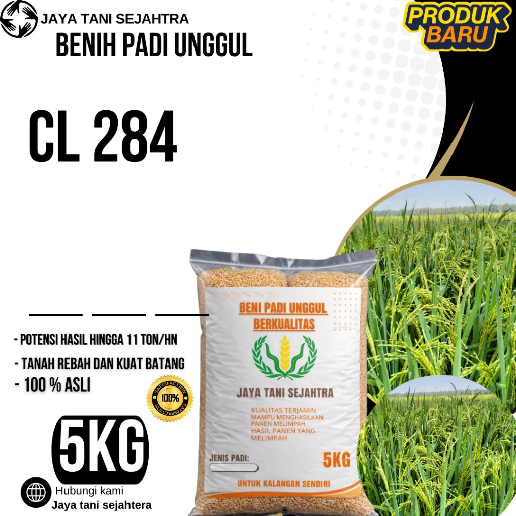 BENIH PADI UNGGUL CL 284 KEMASAN 5KG
