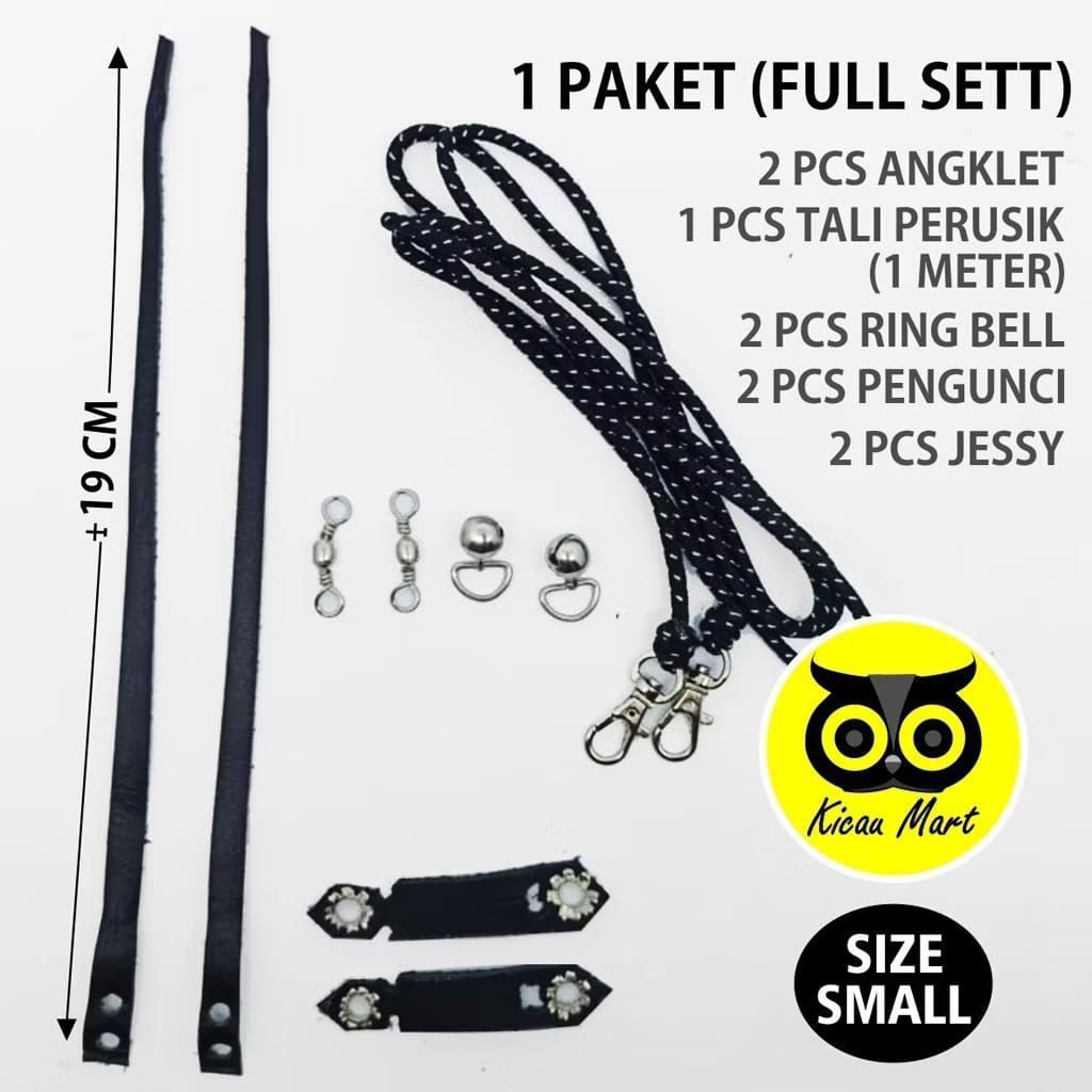 anglet burung alap alap dan burung hantu