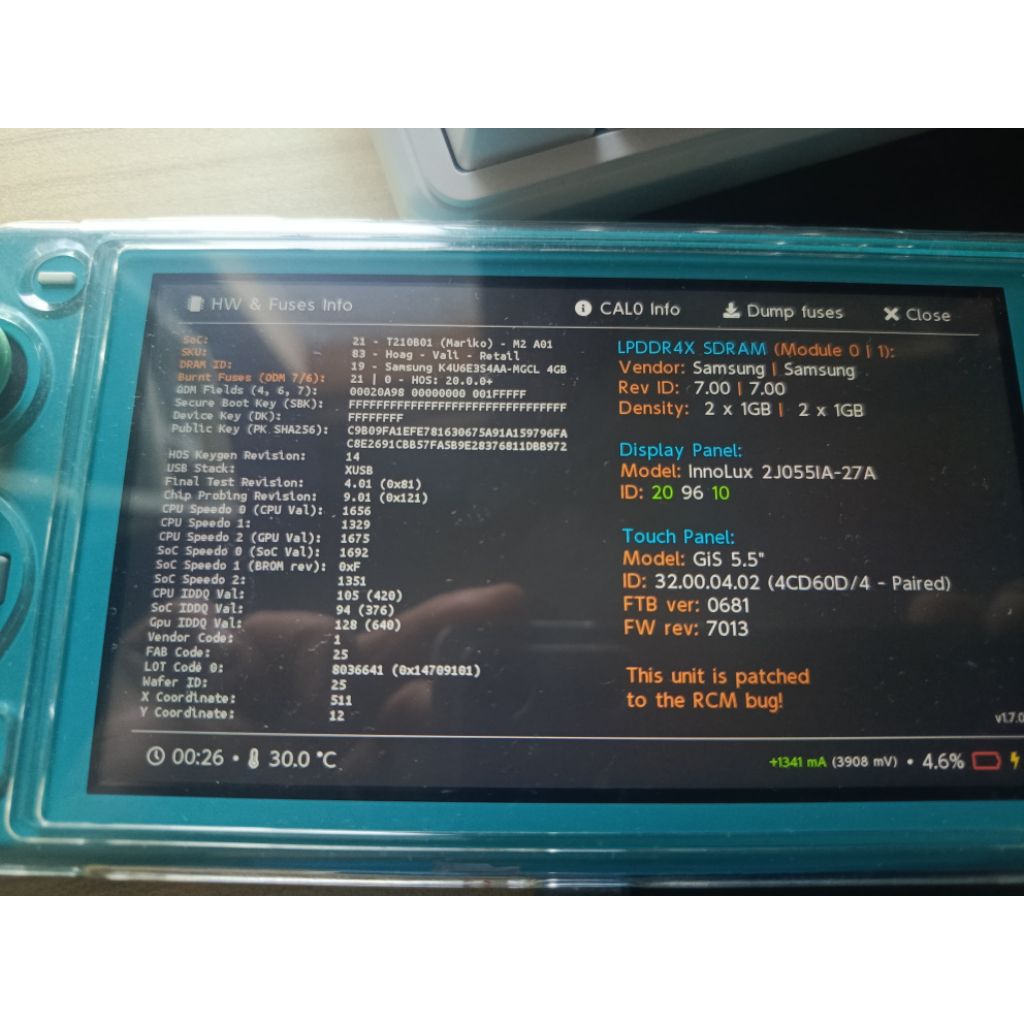Nintendo Switch Lite CFW
