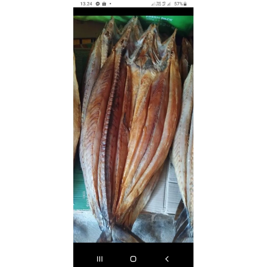 ikan asin tenggiri asli kalimantan selatan