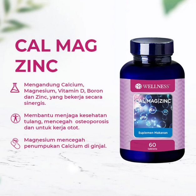 Wellnes Cal Mag Zinc 60 Tablet - Wellness cal mag zinc 60 tablet