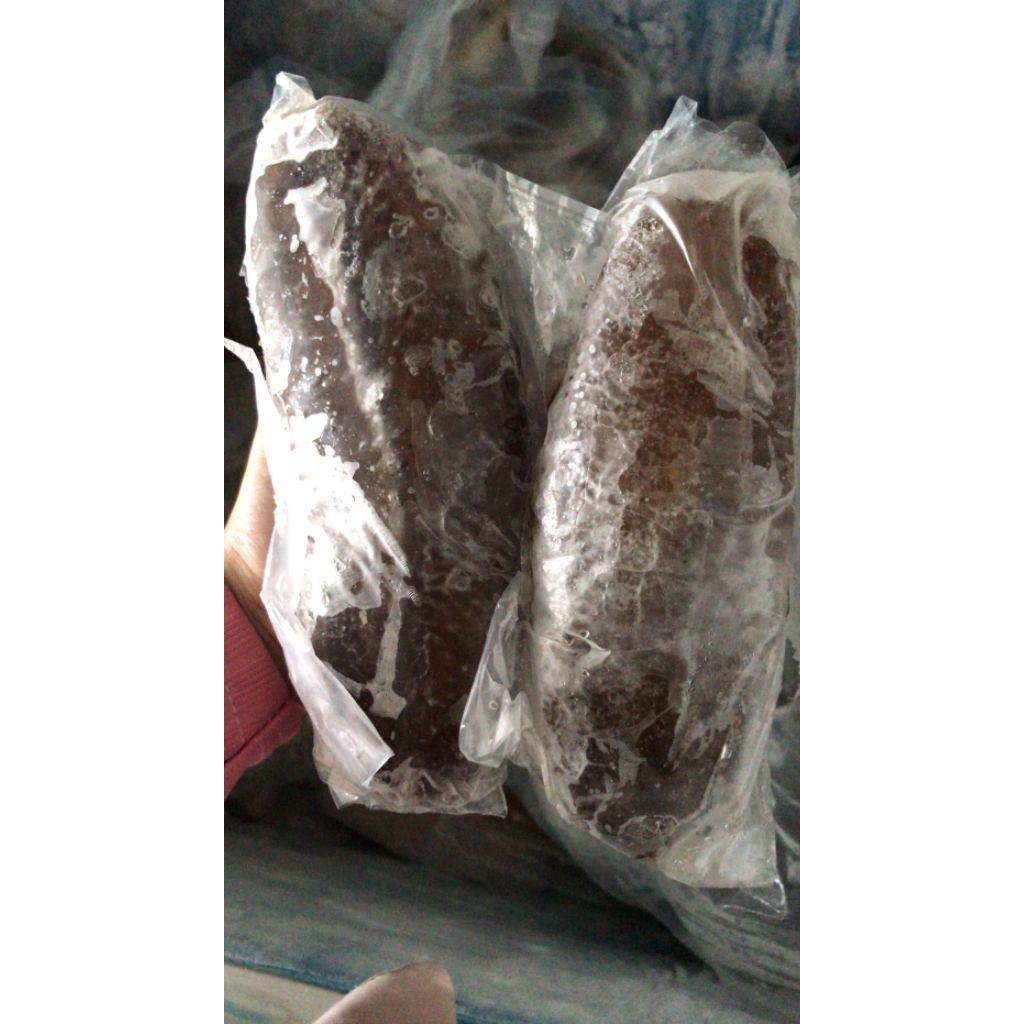 Haisom pasir / teripang 300gr - 350gr