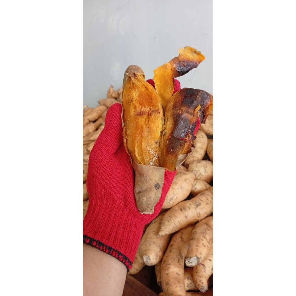 Ubi Madu Cilembu Matang Oven