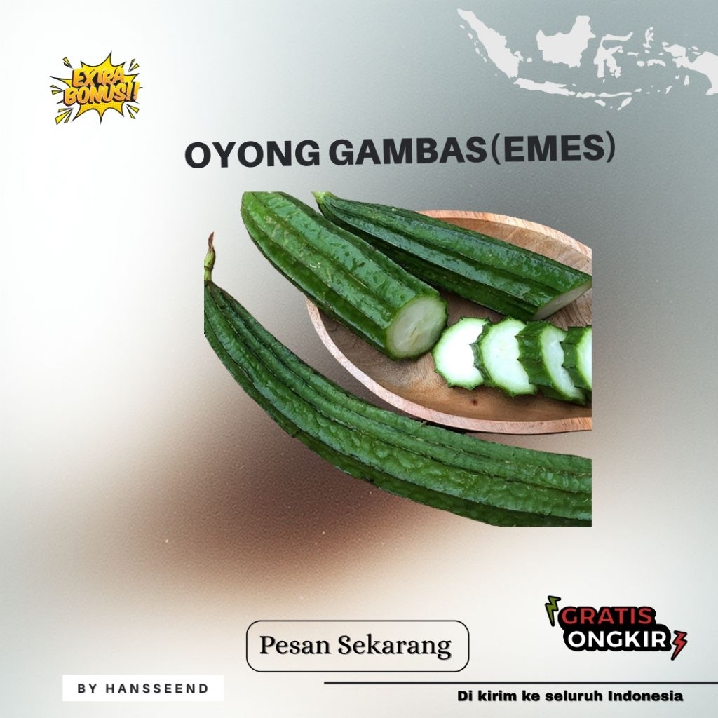 (250 biji) BIBIT BENIH OYONG GAMBAS/EMES LOKAL | EXTRA BONUS