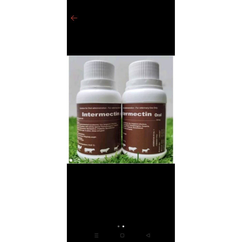 INTERMECTIN oral /minum 100 ml,obat cacing untuk kambing dan sapi