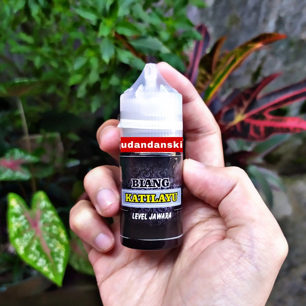 Essen Premium Biang Katilayu Untuk Mancing Ikan Mas, Lele, Tombro, Bawal, Nila, Bandeng, Patin