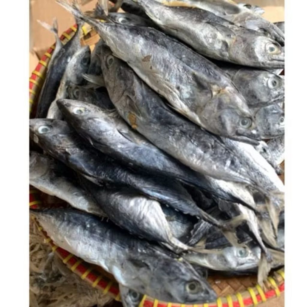 Ikan Asin tongkol kering