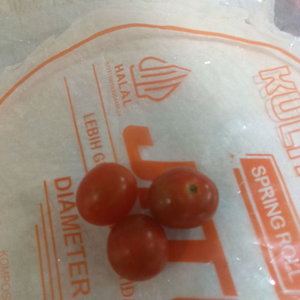 tomat rampai tomat kecil