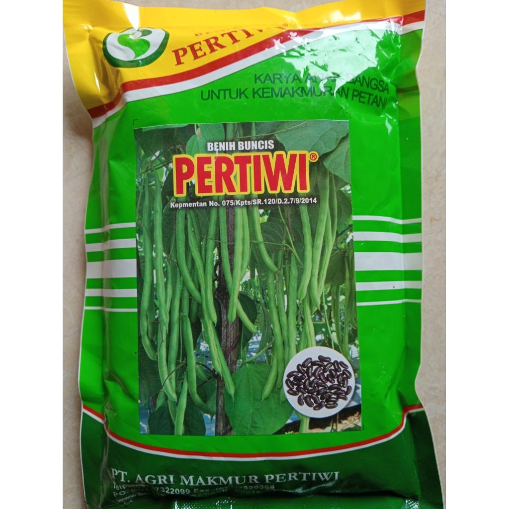 benih buncis pertiwi