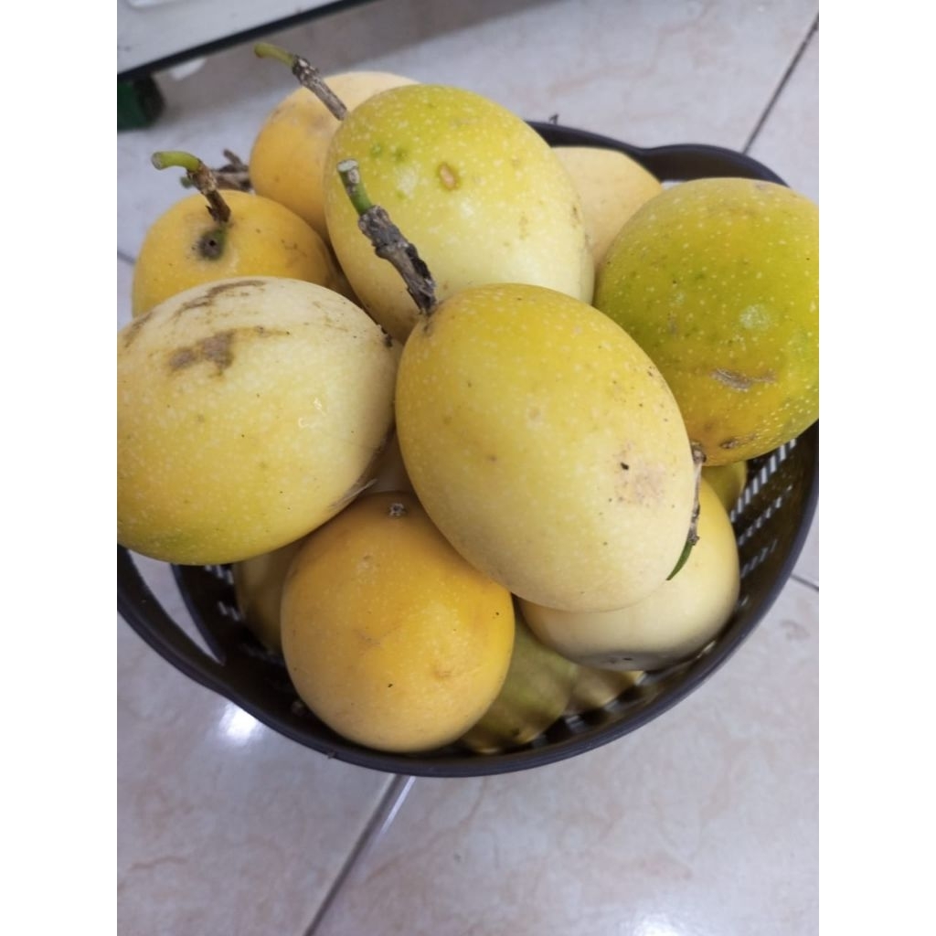 buah markisa kuning/markisa kecut
