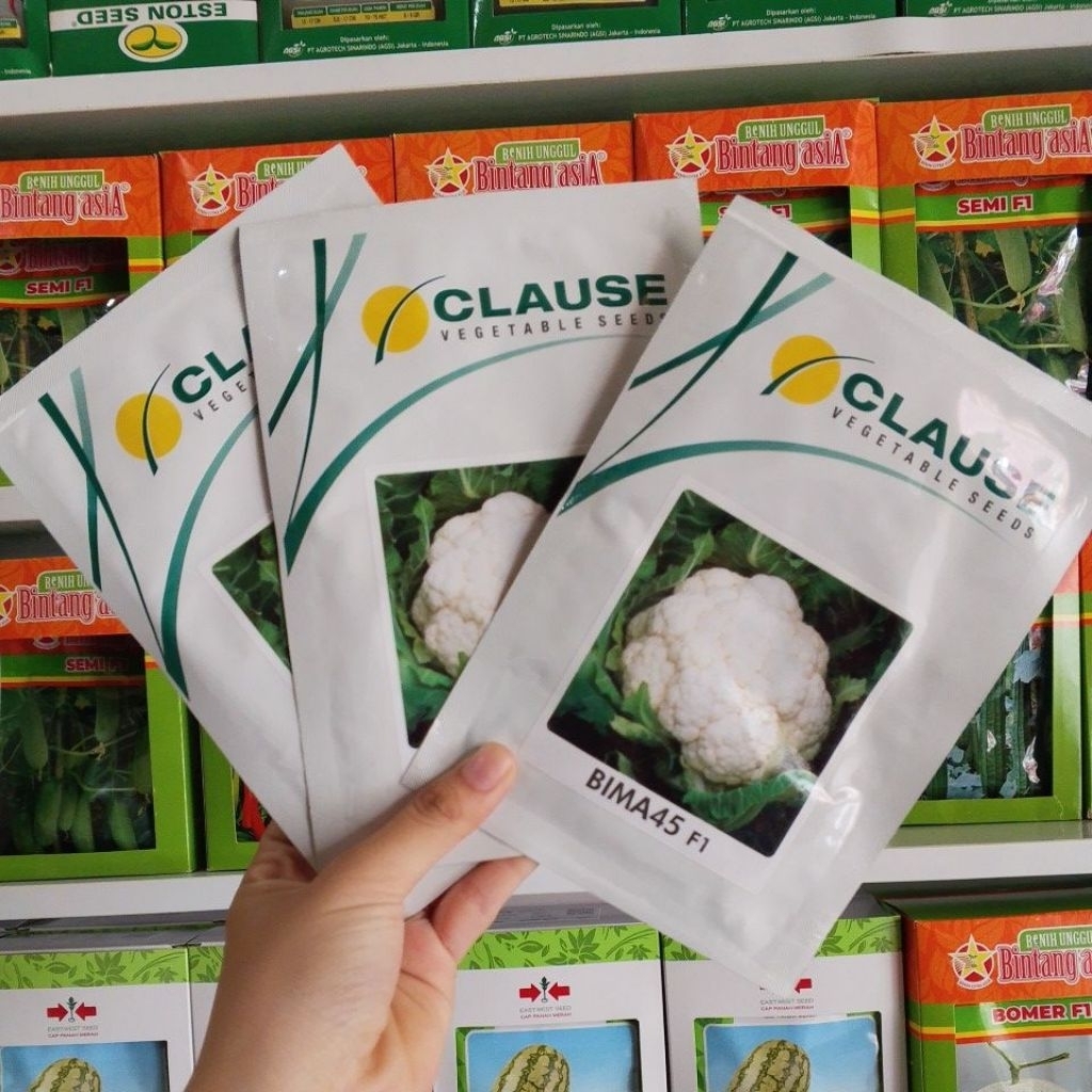 benih bunga kol BIMA45 F1 isi 10gram