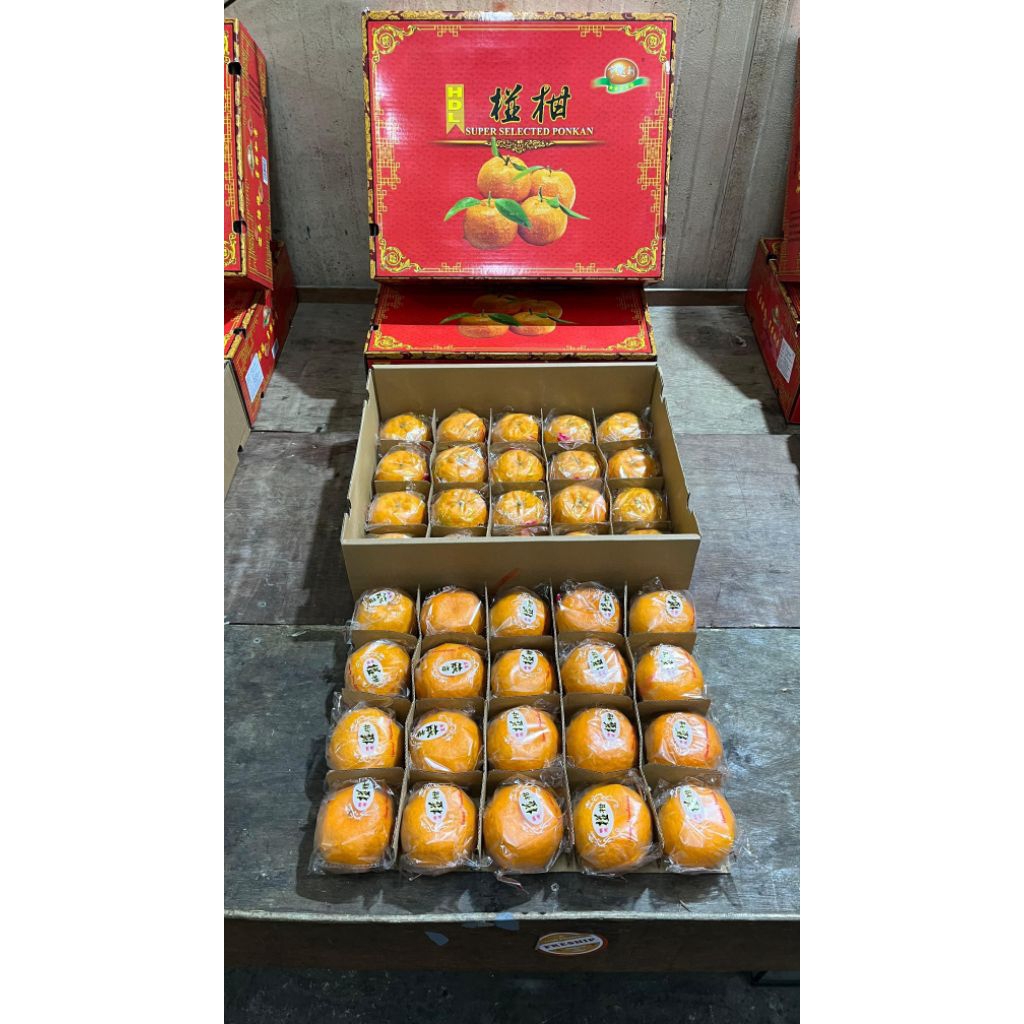 Jeruk Mandarin Jeruk Ponkam HDL Size 40