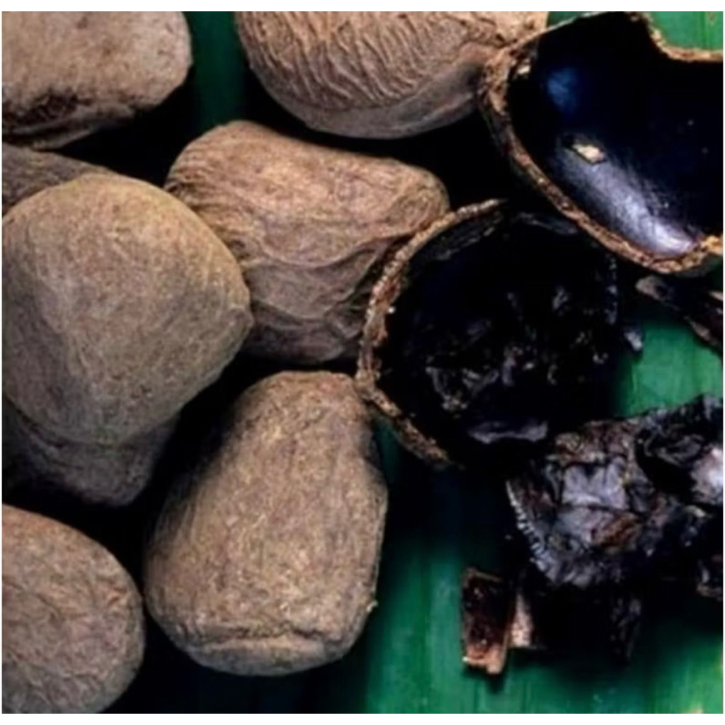 kluwek / kluwek rawon 1kg.