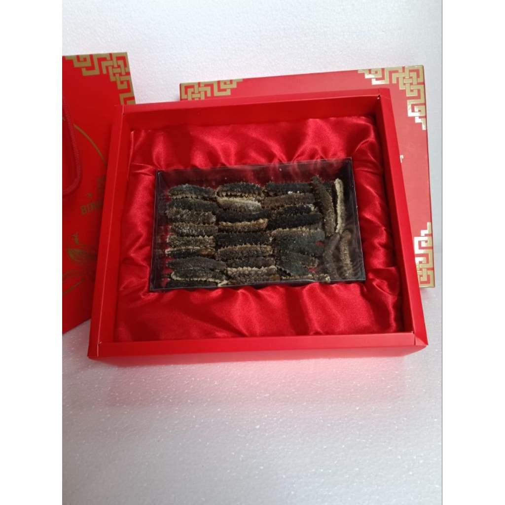 teripang duri/haisom