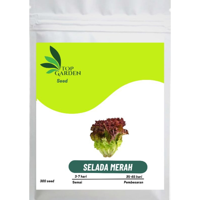 TOP GARDEN BENIH SAYURAN SELADA MERAH BIBIT SELADA MERAH / Bibit Selada Merah