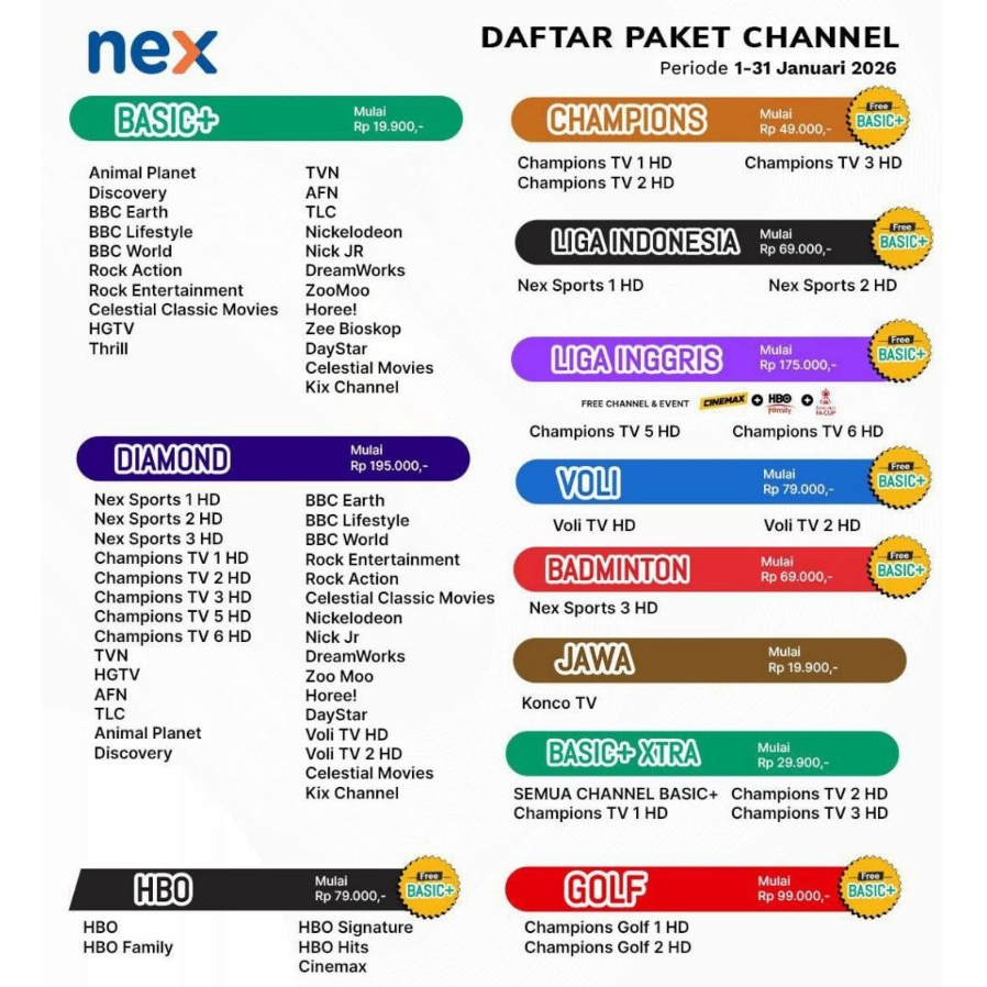 Paket Basic Nex Parabola Basic