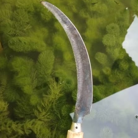 sabit khusus padi, tanpa asah