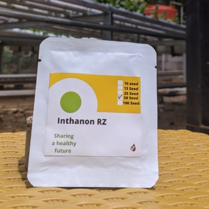 Inthanon 50 seed Benih melon Rijk Zwaan