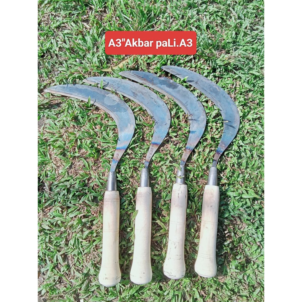 Arit Rumput super tajam siap pakai