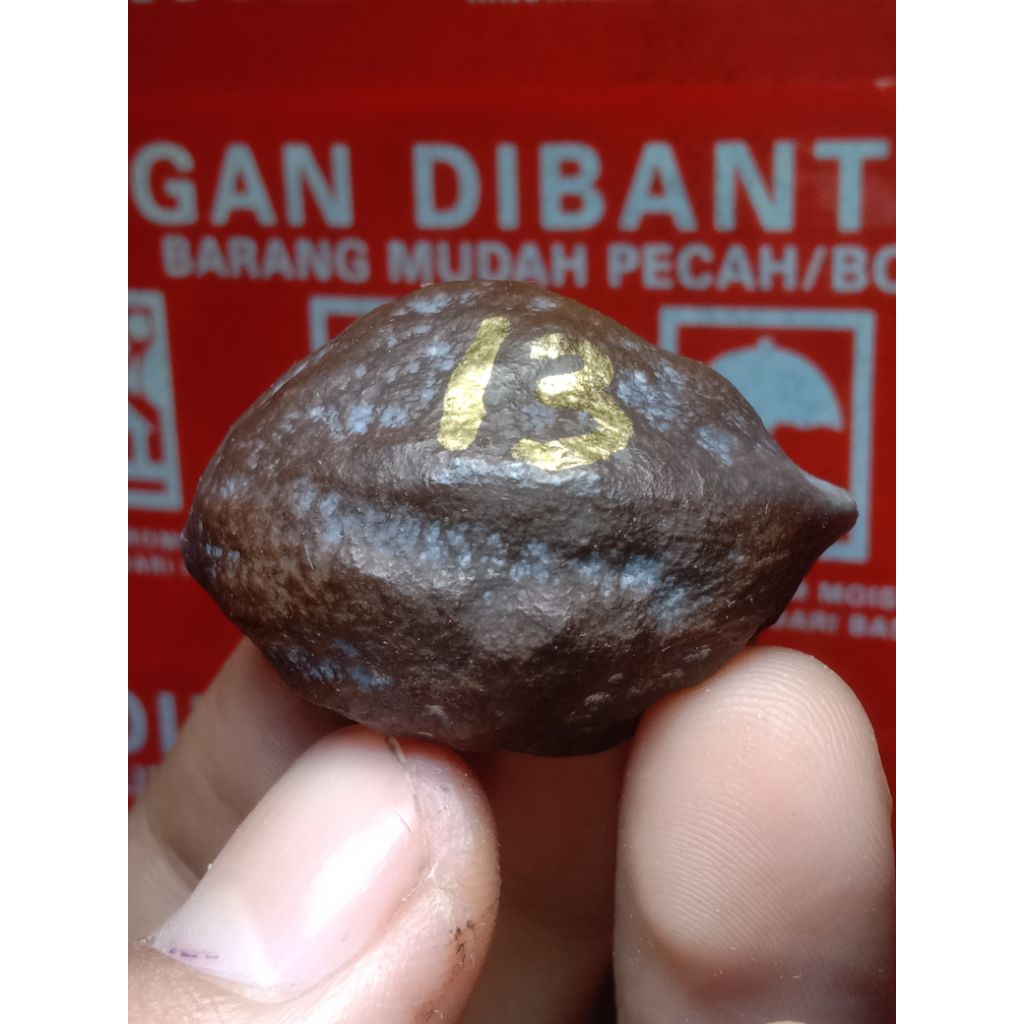 muncang JAYANTI ENTOG X MILE SUPER kode 13