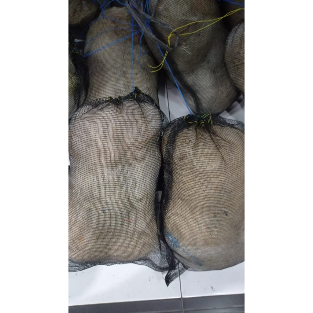 JARING BEKAS NELAYAN KOLAM AQUARIUM JAHIT RAPI MURAH Media Filter