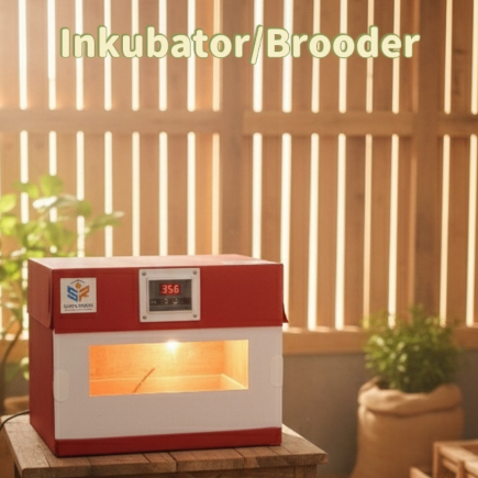 Penghangat Anakan Burung Inkubator Penghangat Anakan Burung