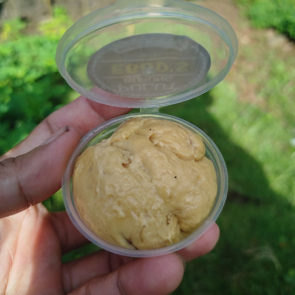 pulut burung super lengket berat 1'ons warna ranting