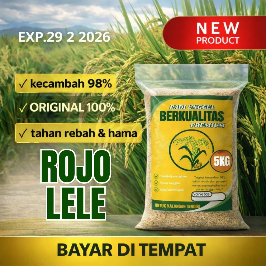 BENIH PADI UNGGUL ROJO LELE 5KG ( BIBIT/BENIH ROJO LELE)