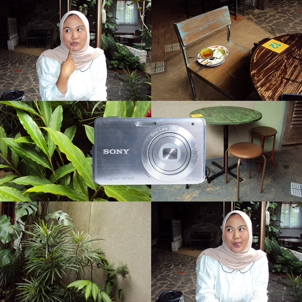 sony cybershot dsc-w190 digicam