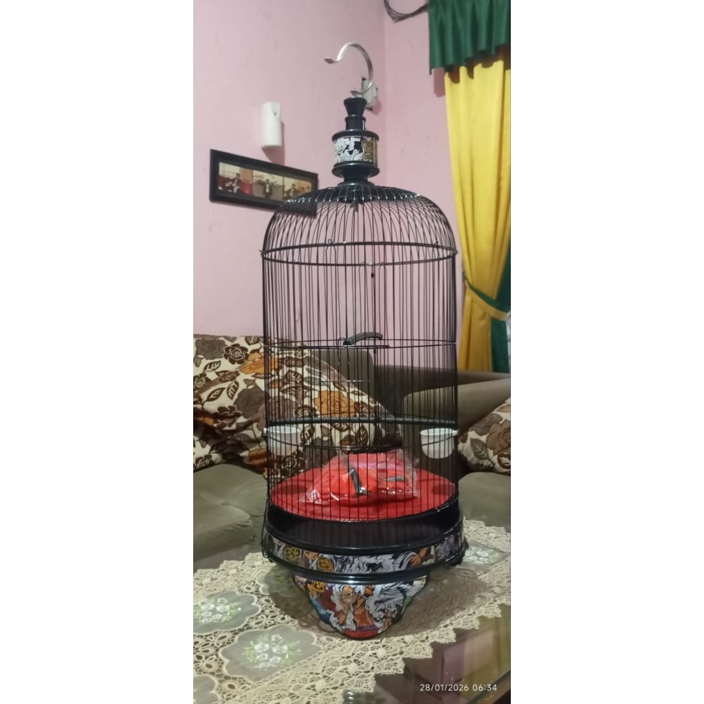 sangkar lovebird pvc decal