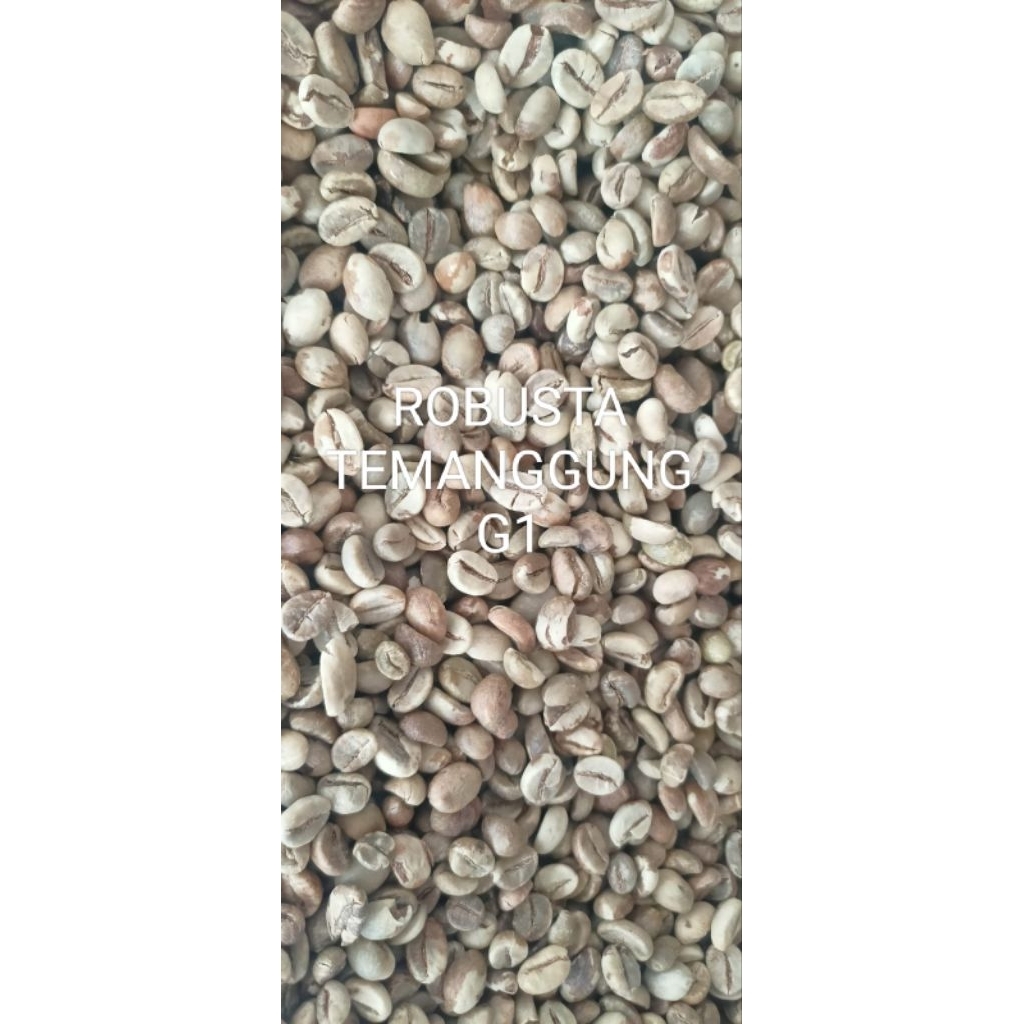 KOPI ROBUSTA TEMANGGUNG GREEN BEAN  GRADE 1