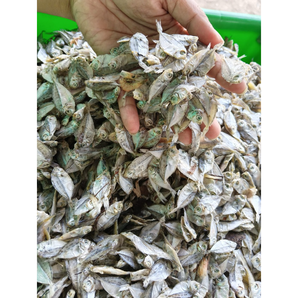 Ikan Asin Petek Kecil