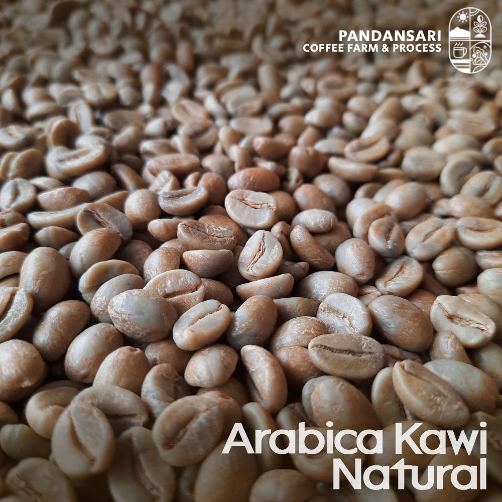 Greenbeans (biji kopi mentah) Arabica Gunung Kawi Natural Process 1kg